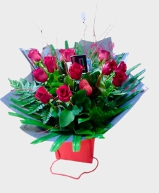 * Beautiful Red Roses